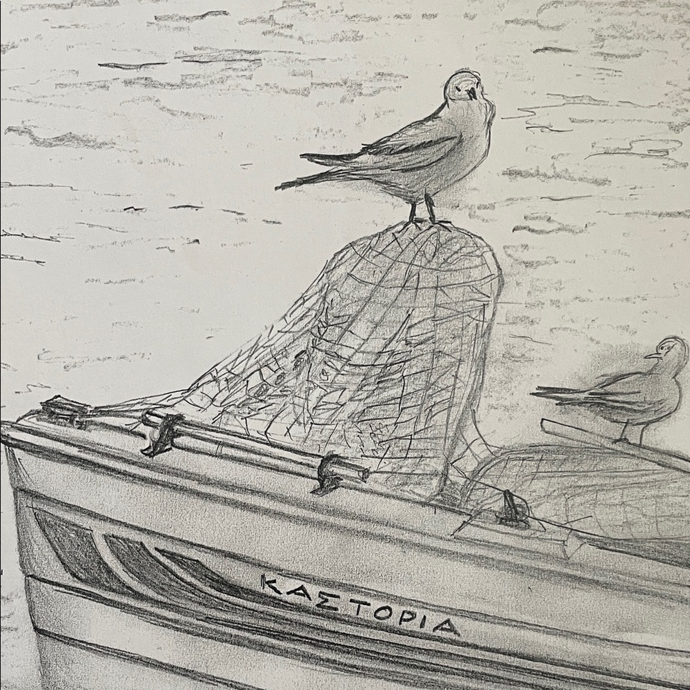 Art Print of a Seagull Perched On A Boat. Sketched Art Signed By Artist L Kousy